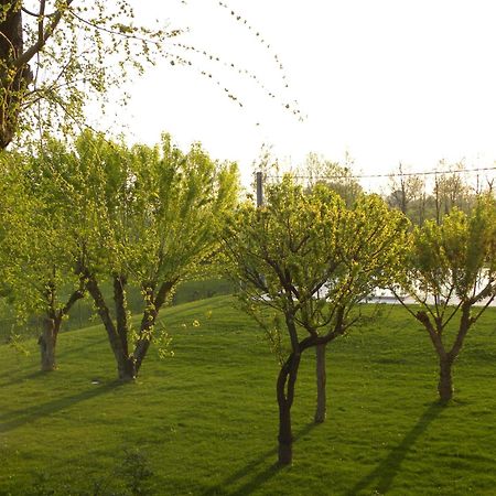 Agriturismo Feliciana Pozzolengo Exterior foto