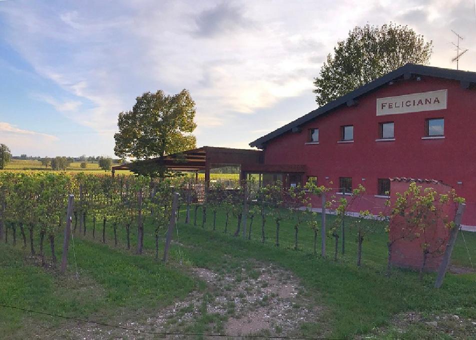 Agriturismo Feliciana Pozzolengo Exterior foto