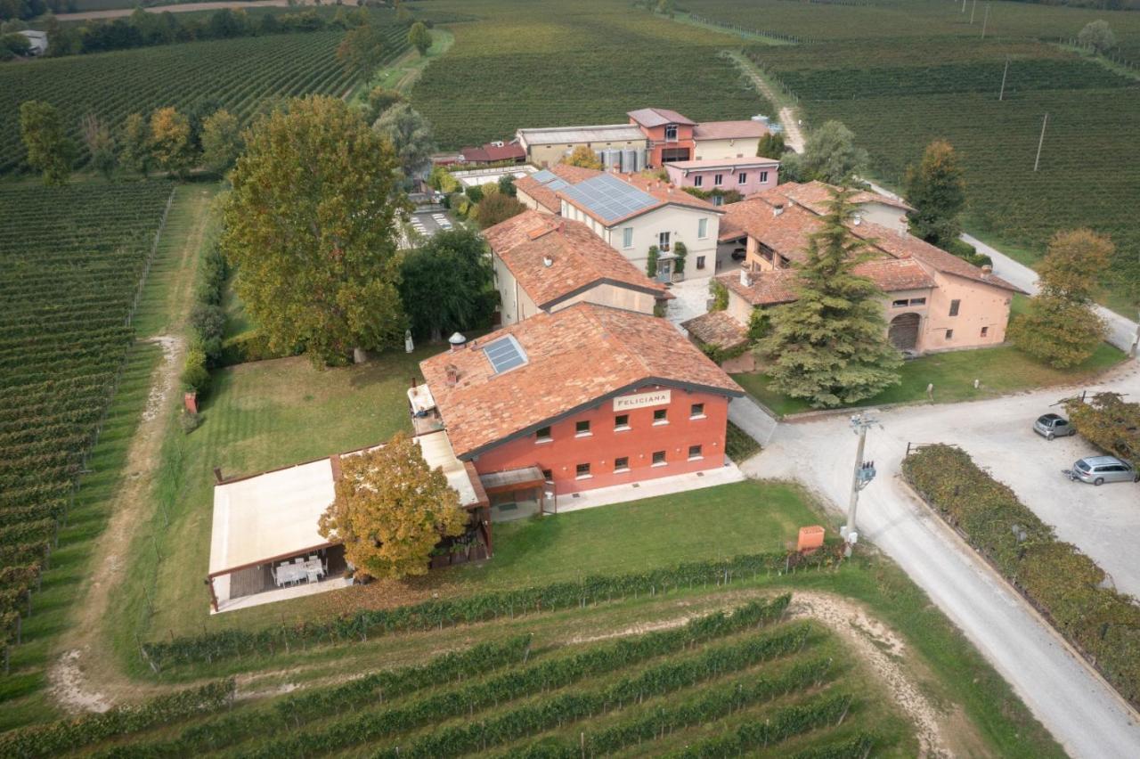 Agriturismo Feliciana Pozzolengo Exterior foto