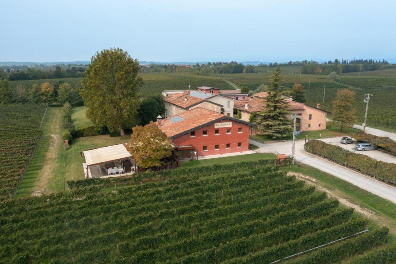 Agriturismo Feliciana Pozzolengo Exterior foto